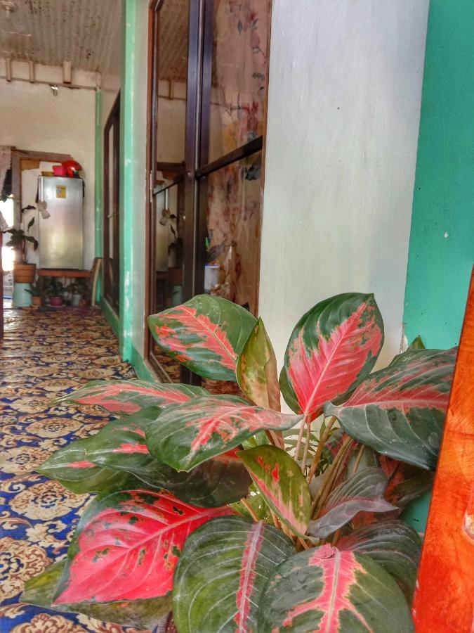 Abba Homestay جنرال لونا المظهر الخارجي الصورة